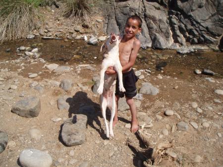 mawkli